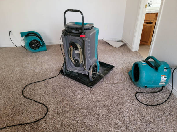 Best Ceiling water damage repair  in Tara Hills, CA