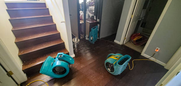 Best 24/7 water damage repair  in Tara Hills, CA