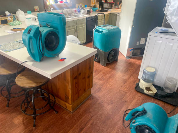  Tara Hills, CA Water damage restoration Pros