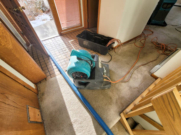 Best Professional water damage repair  in Tara Hills, CA
