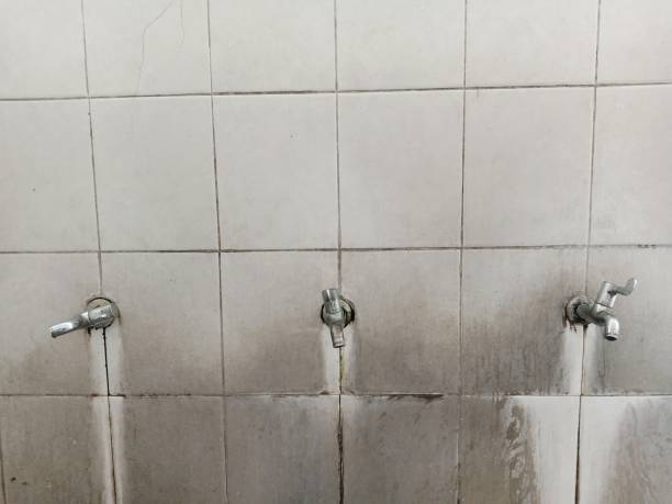 Best Flooded house restoration  in Tara Hills, CA