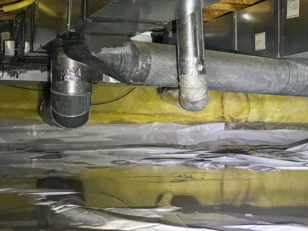 Best Flood damage cleanup  in Tara Hills, CA