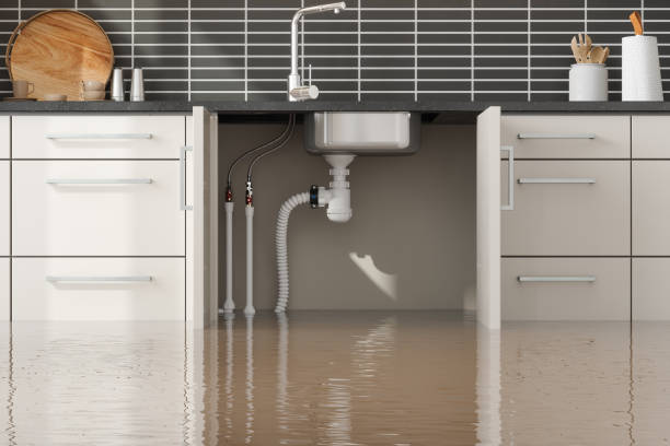 Best Fire Damage Restoration  in Tara Hills, CA
