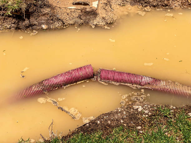 Best Carpet water damage restoration  in Tara Hills, CA
