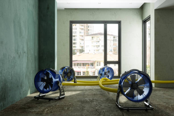 Best Water damage contractors near me  in Tara Hills, CA