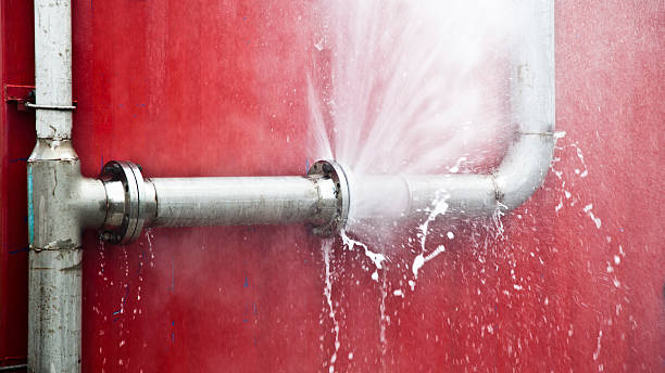 Best Local water damage restoration  in Tara Hills, CA
